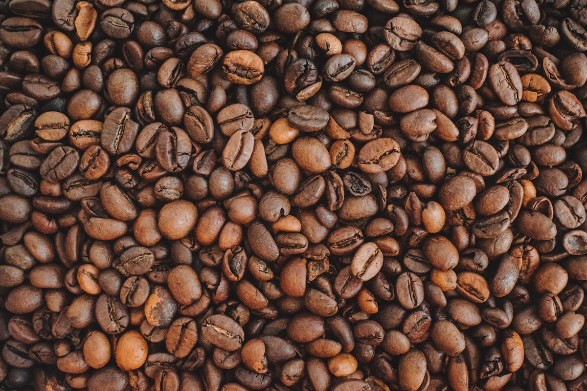 Kicking Horse Espresso Beans
